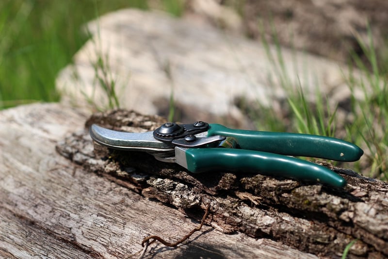 Pruning Perfection